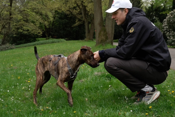 Schnittbilder von Simon Henseleit im Alltag mit seinem Hund.